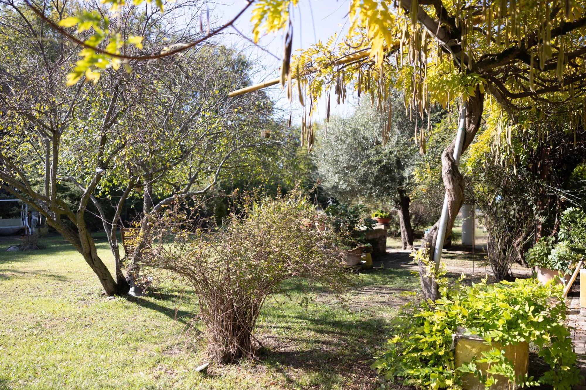 Locanda Acetaia Malagoli Daniele Castelfranco Emilia Exteriör bild